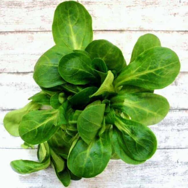 Feldsalat-auf-Holztisch