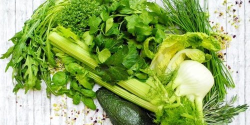 gruene-kraeuter Zusammenstellung grüner Kräuter in unverarbeiteter Form