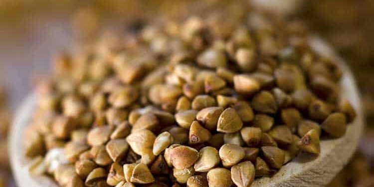 buchweizen Buchweizen auf Holzlöffel