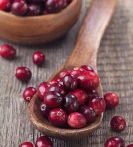 Ein Löffel voller Cranberry Früchten