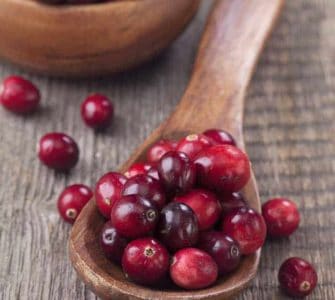 Ein Löffel voller Cranberry Früchten