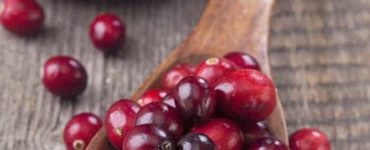 Ein Löffel voller Cranberry Früchten