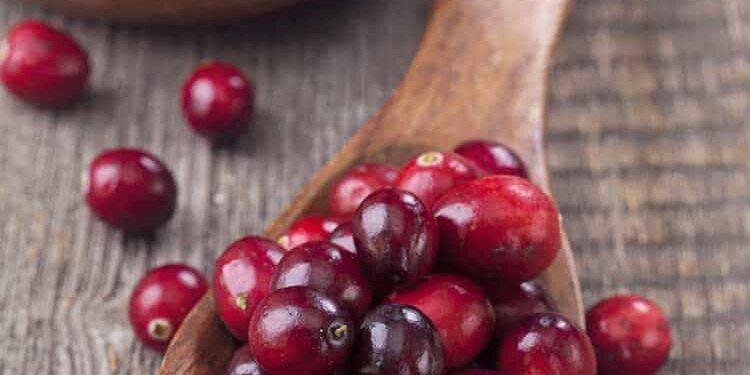 Ein Löffel voller Cranberry Früchten