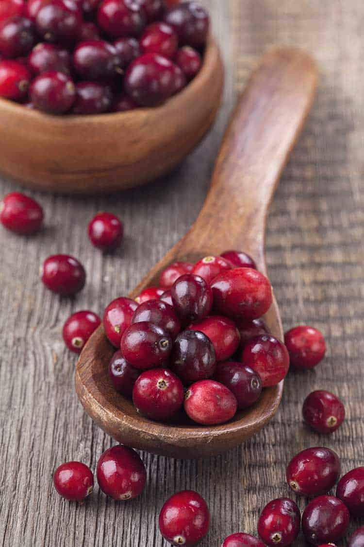 Ein Löffel voller Cranberry Früchten