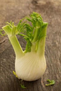 Fenchel in Knollenform