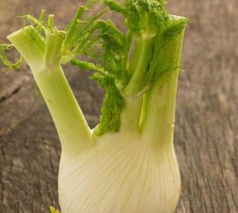 Fenchel in Knollenform