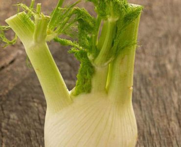 Fenchel in Knollenform