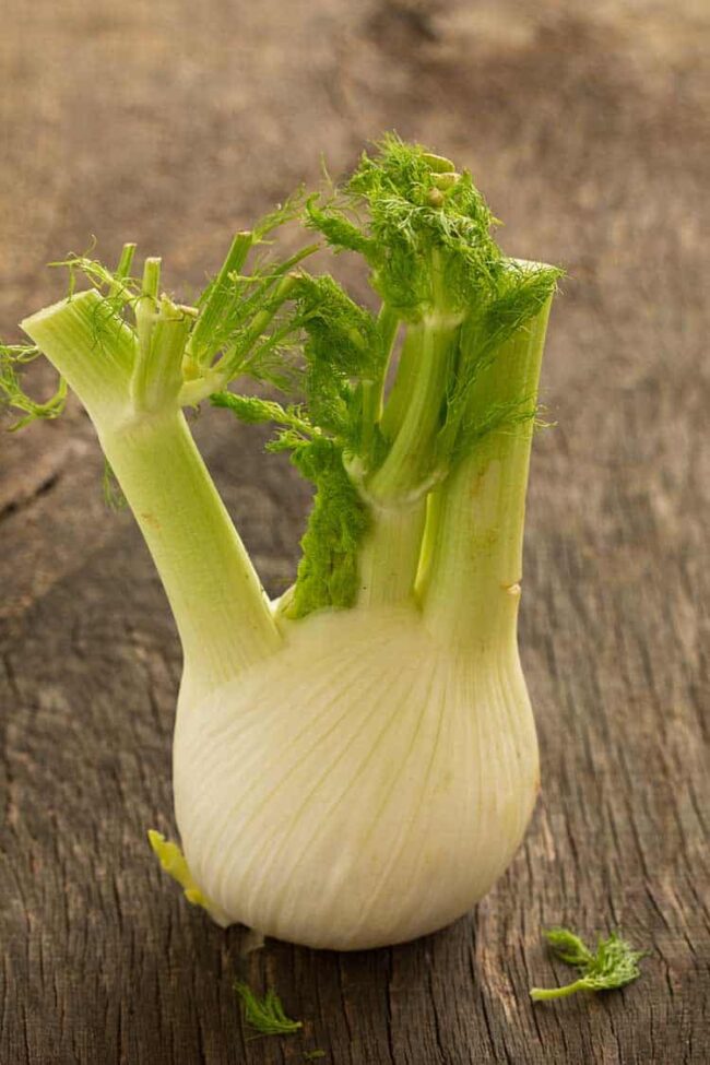 fenchel