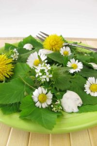 Gänseblümchensalat auf grünem Teller