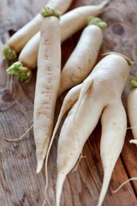 Weißer, geputzter Rettich