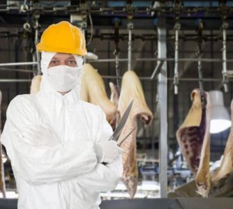Hinter den Kulissen der Fleischindustrie: Man in weißem Schutzanzug und gelbem Helm posiert mit Fleischermesser vor geschlachteten und halbierten Tieren