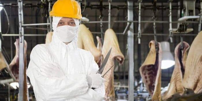 fleischkonsum-industrielle-fleischproduktion Hinter den Kulissen der Fleischindustrie: Man in weißem Schutzanzug und gelbem Helm posiert mit Fleischermesser vor geschlachteten und halbierten Tieren