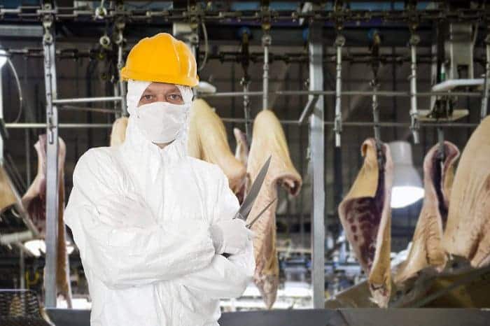 Hinter den Kulissen der Fleischindustrie: Man in weißem Schutzanzug und gelbem Helm posiert mit Fleischermesser vor geschlachteten und halbierten Tieren