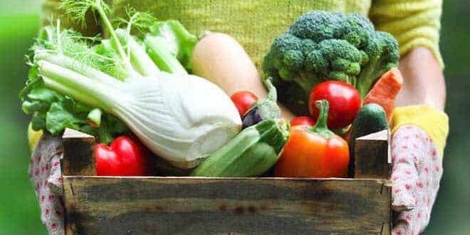 Frau in grüner Gartenkleidung trägt eine Holzkiste voller frischem Gemüse