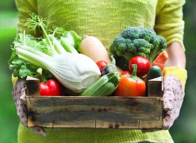 Frau in hellgrünem Pullover mit Holzkiste in den Händen, die mit Tomaten, Fenchel, Zucchini und Broccoli gefüllt ist