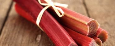 Vier Rhabarberstangen mit einem Strohfaden zusammengebunden