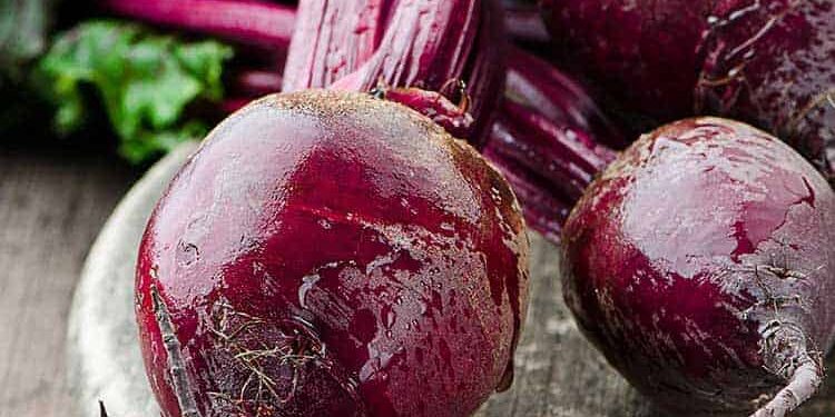 rote_beete Knollen von der Roten Beete