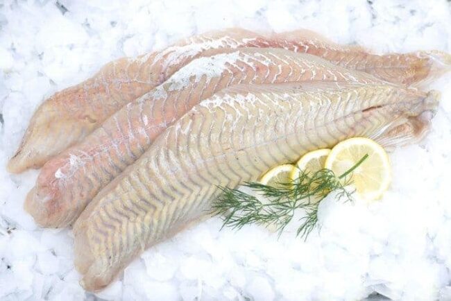 seelachs auf eis seelachs auf eis