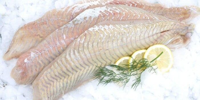seelachs-auf-eis Seelachs-Filet auf Eis mit drei Scheiben Zitrone