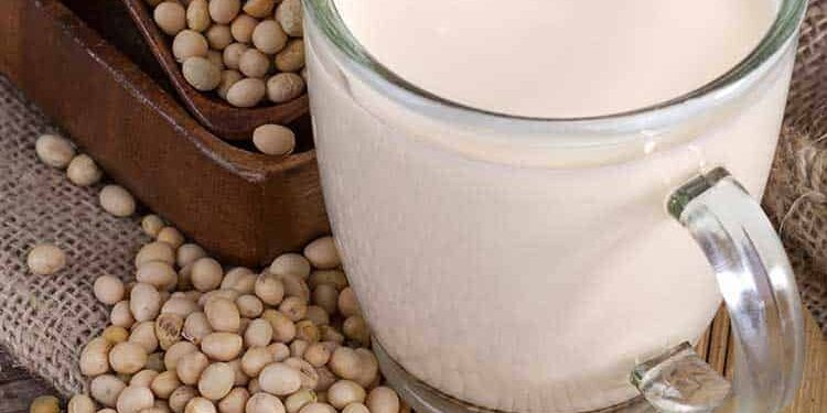 sojamilch Eine durchsichtige Tasse gefüllt mit frischem Sojadrink umgeben von reifen Sojabohnen