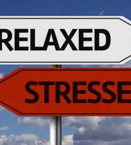 Zwei Straßenschilder in rot und weiß mit den Wörtern Stressed und Relaxed