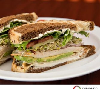Brot mit Avocado, Tomaten und Putenbelag