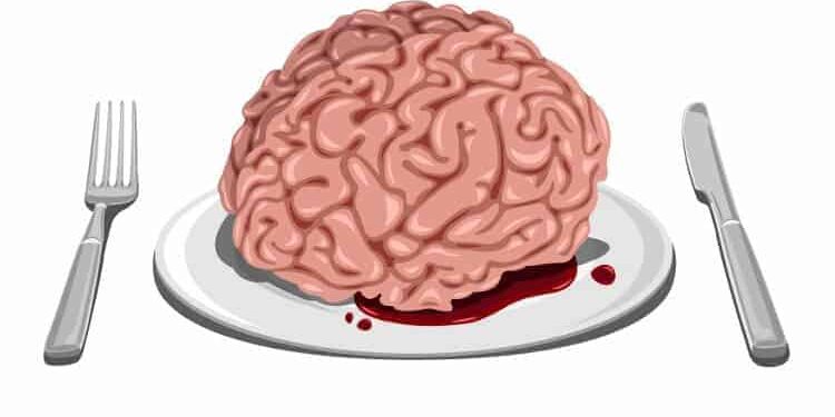 Gehirn (gezeichnet) serviert auf weißem Teller, daneben Messer und Gabel