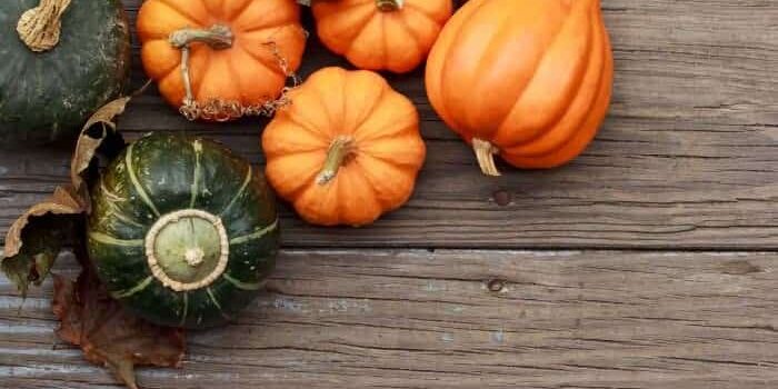 kuerbis2 Vier orange und ein grüner Kürbis auf einem Holztisch