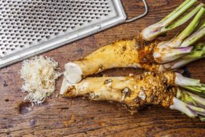 Zwei Meerrettich-Wurzeln, angerieben mit Reibe