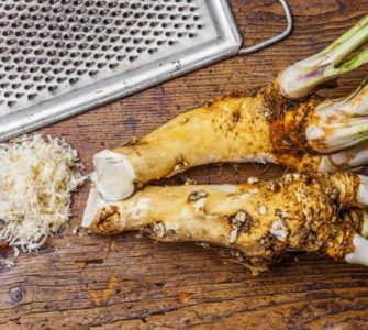 Zwei Meerrettich-Wurzeln, angerieben mit Reibe