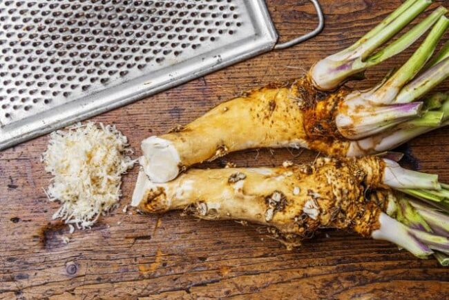 Meerrettich gerieben