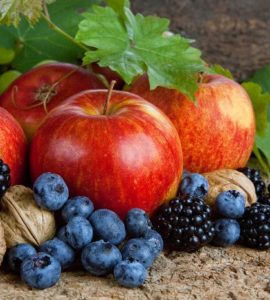 Heidelbeeren Äpfel Weintrauben Walnüsse