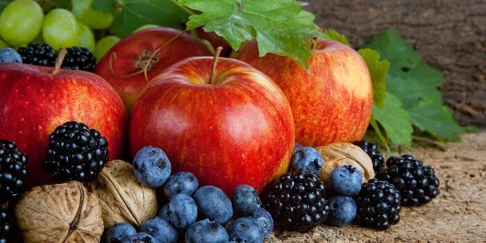 Beeren Obst Paleo Diaet Heidelbeeren Äpfel Weintrauben Walnüsse