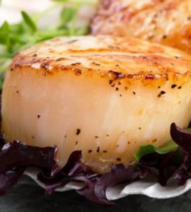 Jakobsmuscheln auf einem Salatbett