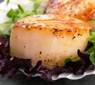 Jakobsmuscheln auf einem Salatbett