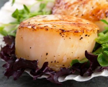 Jakobsmuscheln auf einem Salatbett