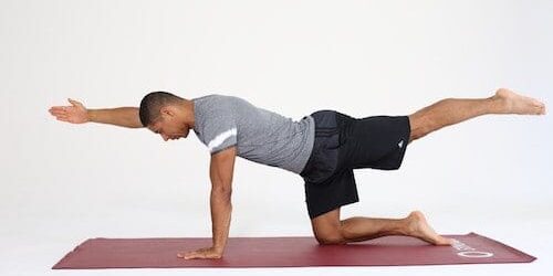 Mann macht Rückenübung auf allen Vieren All Fours auf dunkelroter Trainingsmatte