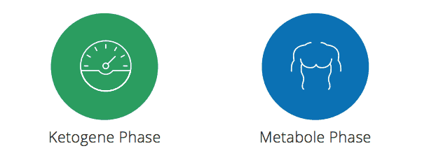 Eine Grafik links ein Symbol für die Ketogene Phase, rechts ein Symbol für die Metabole Phase