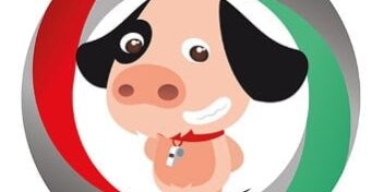 gymi-der-fitness-bot Fitness Bot Gymi