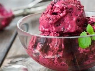 Johannisbeer Sorbet