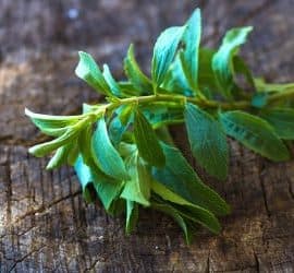 Stevia ist ein Zuckerersatzstoff