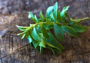 Stevia ist ein Zuckerersatzstoff