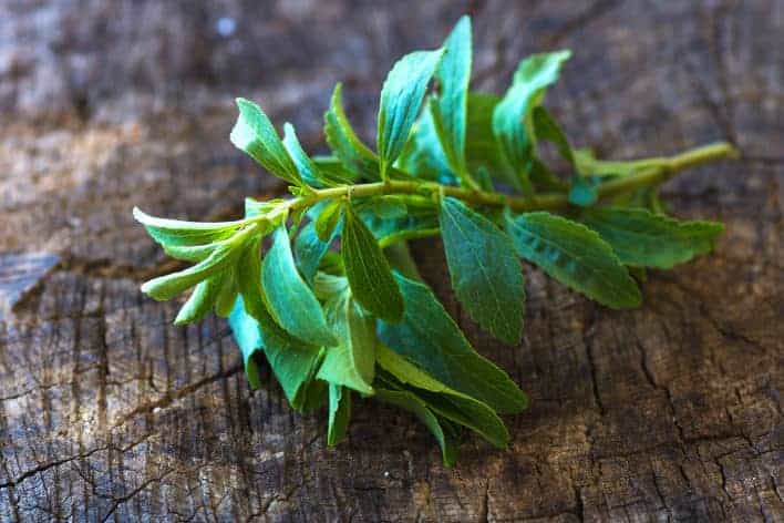 Stevia ist ein Zuckerersatzstoff