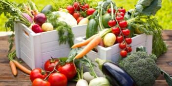 bio-lebensmittel Lebensmittel aus biologischem Anbau