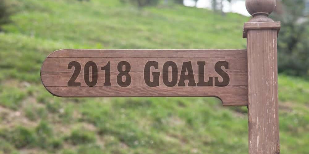 Schild aus Holz mit Aufschrift 2018 Goals vor grüner Wiese zeigt in Richtung gute Vorsätze 2018