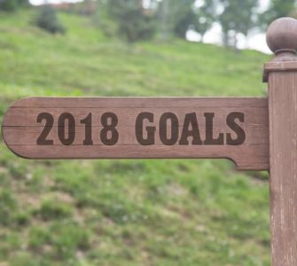 Schild aus Holz mit Aufschrift 2018 Goals vor grüner Wiese zeigt in Richtung gute Vorsätze 2018