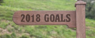 Schild aus Holz mit Aufschrift 2018 Goals vor grüner Wiese zeigt in Richtung gute Vorsätze 2018