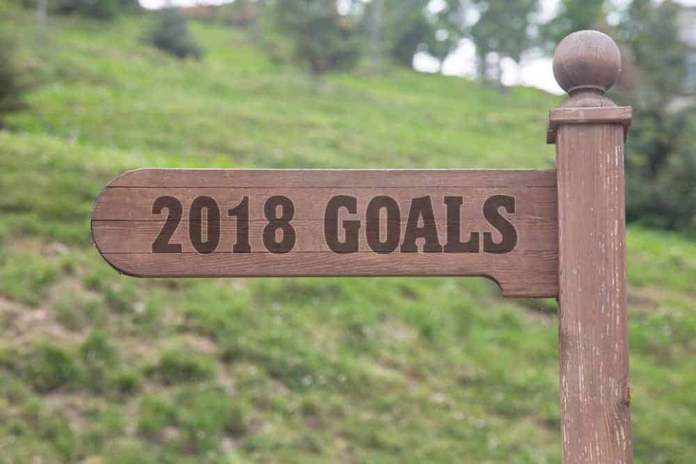 Schild aus Holz mit Aufschrift 2018 Goals vor grüner Wiese zeigt in Richtung gute Vorsätze 2018