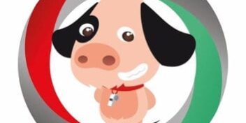 gymi-der-fitness-bot