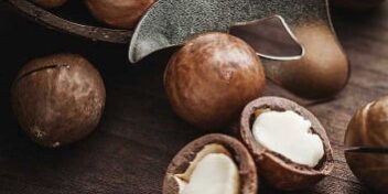 Macadamianüsse, aufgeschnitten und am Stück